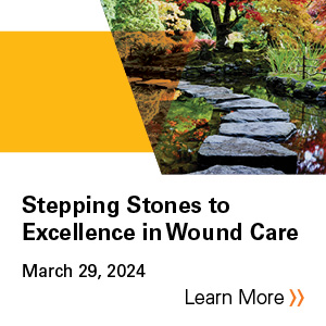 2024 Stepping Stones to Excellence in Wound Care Banner